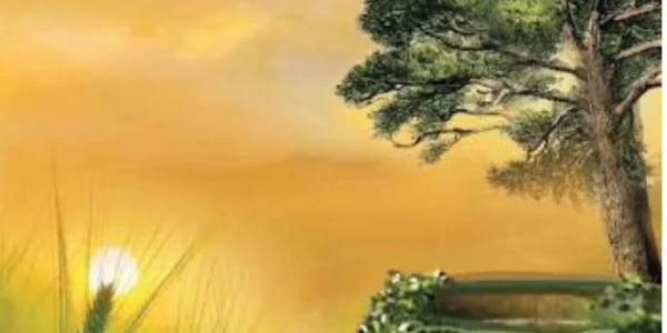 Dana Pani Novel By Umera Ahmed
