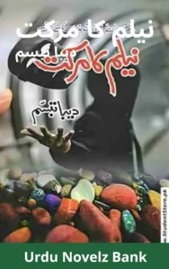 Neelam Ka Markat Novel By Deeba Tabassum