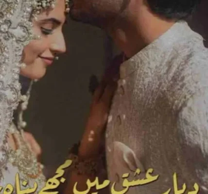 Diyar e Ishq Mein Mujhe Panah Chahiye Novel By Noor Firdous