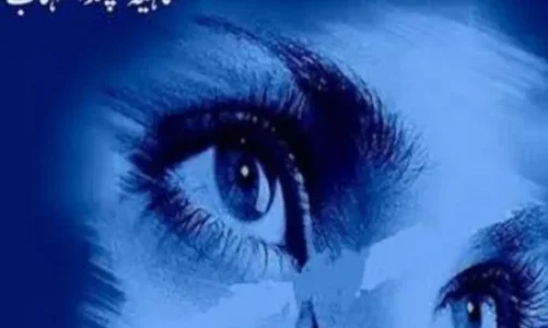 Jaan Novel By Shaheena Chanda Mehtab