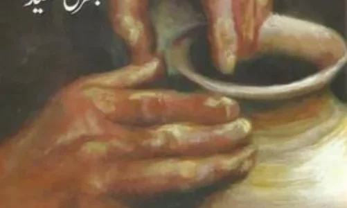 Safalgar Novel By Bushra Saeed