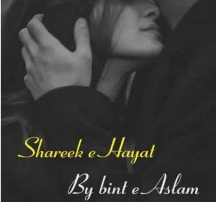 Sharik E Hayat Novel By Bint E Aslam