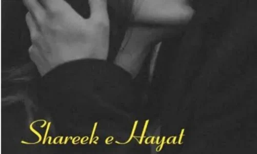 Sharik E Hayat Novel By Bint E Aslam