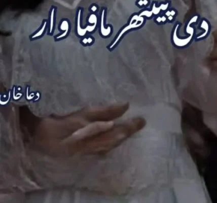 The Panther Mafia War Novel By Dua Khan