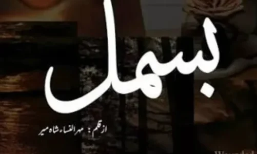 Bismil Novel By Mehrulnisa Shahmeer