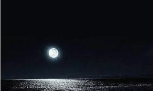 Black Moon Novel Season 1 by Nisha Umar