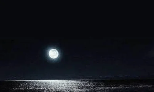 Black Moon Novel Season 2 By Nisha Umar