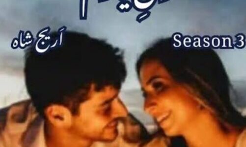 Junoon e Yaram Novel Season 3 By Areej Shah